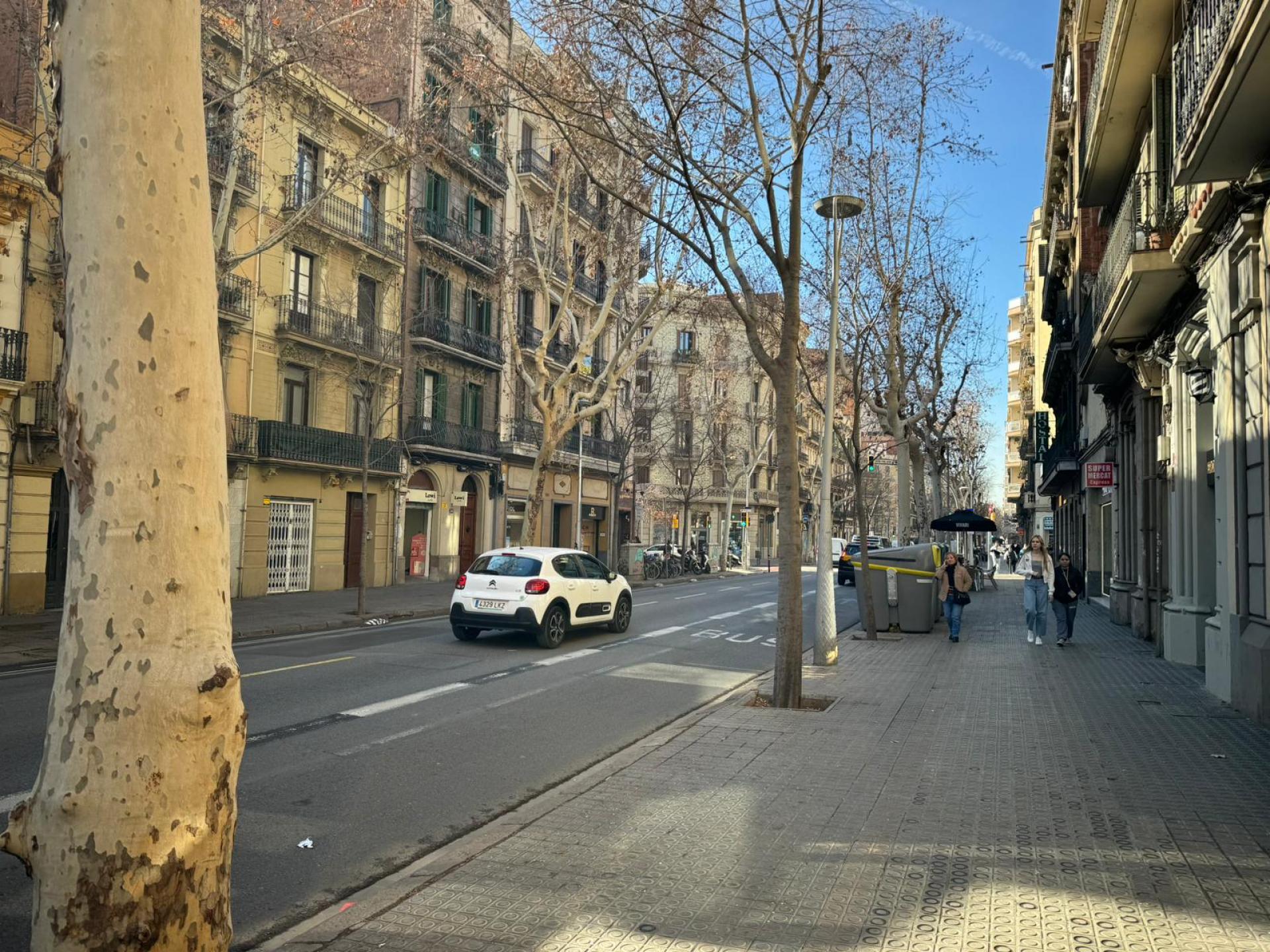Local comercial Barcelona Sant Martí /  El Clot Alquiler